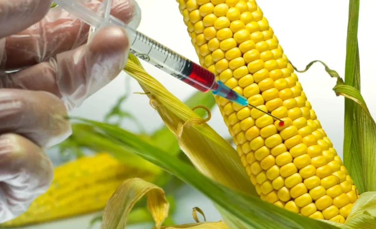 GMO Food: Push It Down Their Bloody Throats!